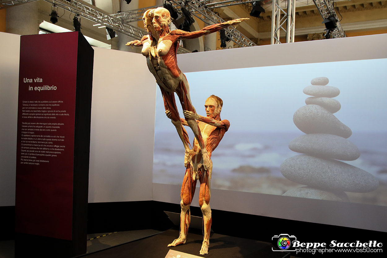 VBS_2675 - Mostra Body Worlds.jpg